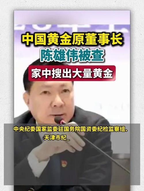 陳雄偉被查：前中國黃金董事長落馬