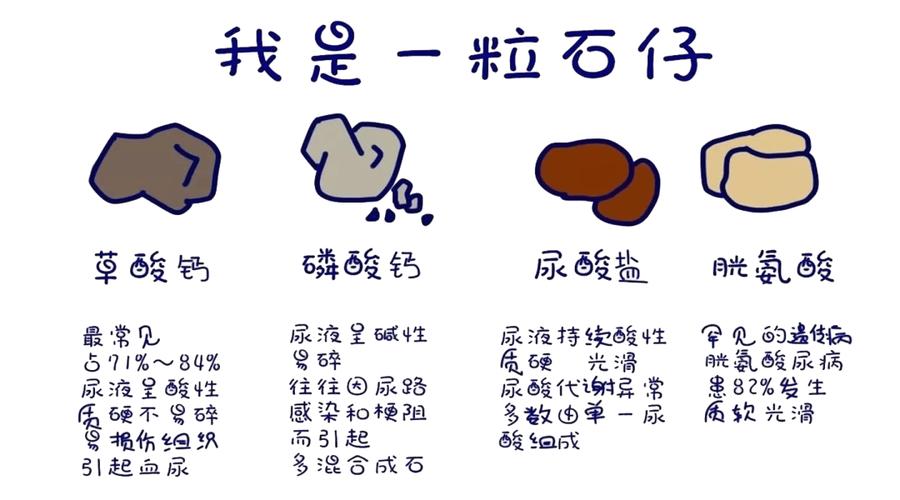 腎臟健康警惕！這食物你吃得太多，可能正在傷害它